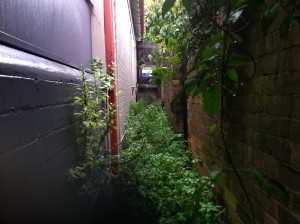 Zwischen zwei Häusern