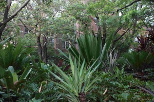 Die Natur auf dem Gelände