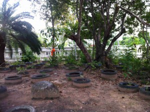 Eine Art Garten - für die Mönche, die dort wohnen.