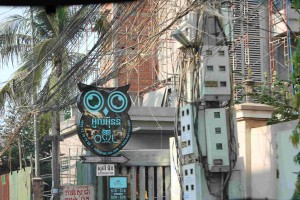 I think, they think we like these Animals. I see them everywhere.