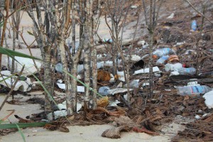 Leider gibt es hier auch tonnenweise angespülten Plastikmüll. Paradies im Müll.
